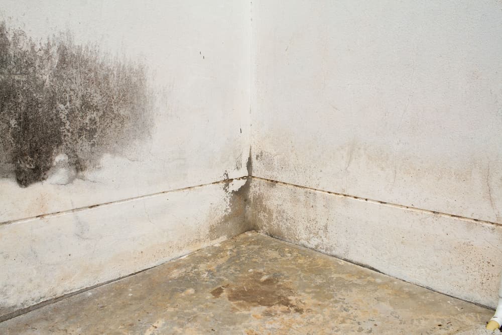 Do Basements Need Insulation? - Spray Foam Experts